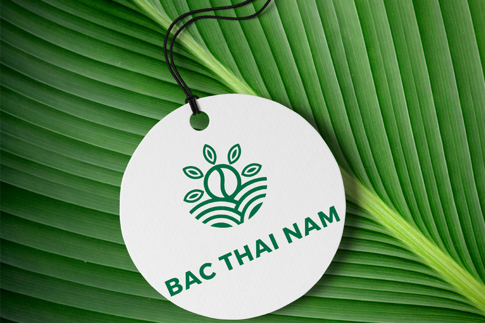 Thiet-ke-logo-va-bo-nhan-dien-thuong-hieu-chuyen-nghiep